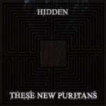 these_New_Puritans_-_Hidden.jpg