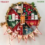 tracey thorn tinsel and lights.jpg