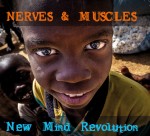 nerves and muscles new mind revolution.jpg
