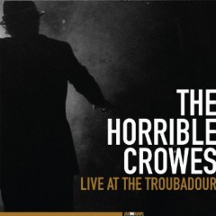 the horrible crowes live.jpg