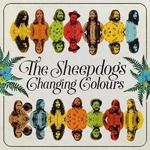 sheepdogs changing colours