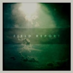 field report.jpg