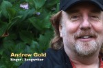 Andrew-Gold 2.jpg