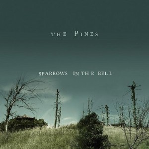 pines sparrows in the bell