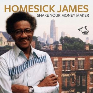 homesick james shake your money maker