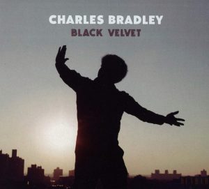 charles bradley black velvet